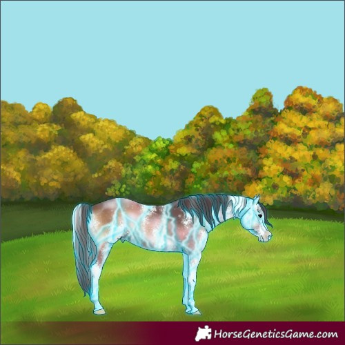 Horse Color:Thunderstruck Chocolate Brown Onyx Sabino