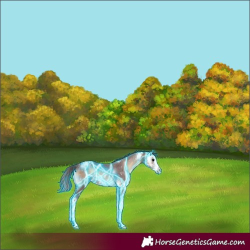 Horse Color:Thunderstruck Chocolate Brown Onyx Sabino 