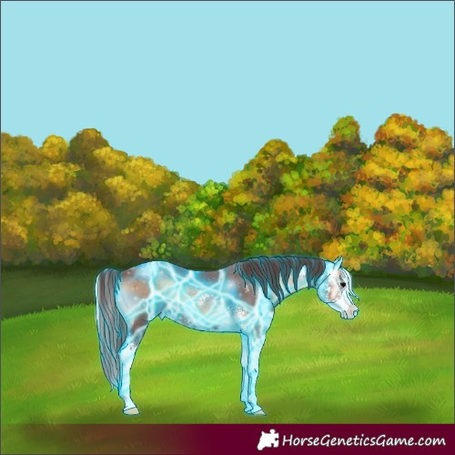 Horse Color:Thunderstruck Chocolate Brown Onyx Sabino 