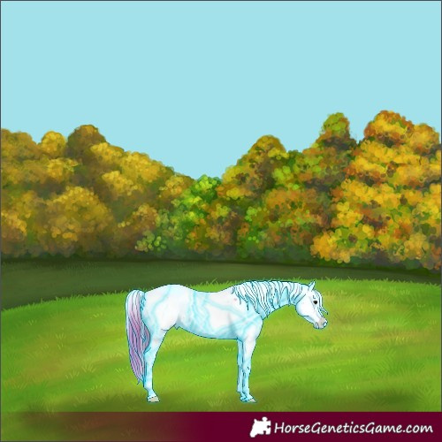 Horse Color:Thunderstruck Chocolate Brown Onyx Sabino 