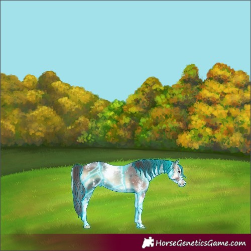 Horse Color:Thunderstruck Chocolate Brown Onyx Sabino