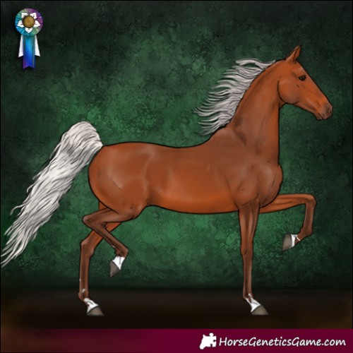 Horse Color:Silver Bay 