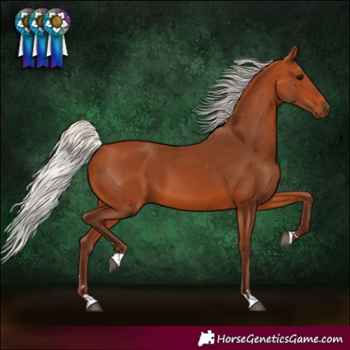 Horse Color:Silver Bay 
