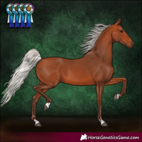 Horse Color:Silver Bay 