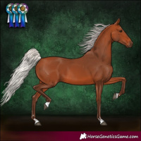 Horse Color:Silver Bay