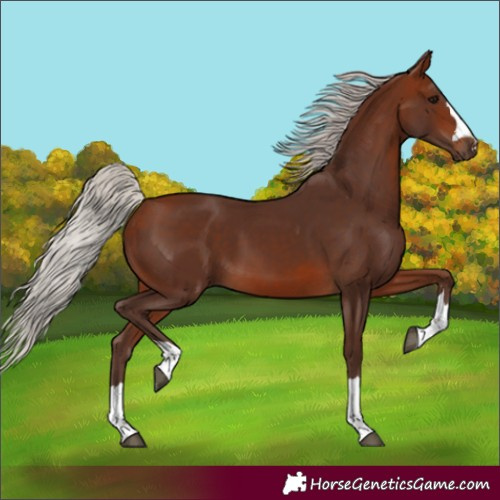 Horse Color:Silver Brown 