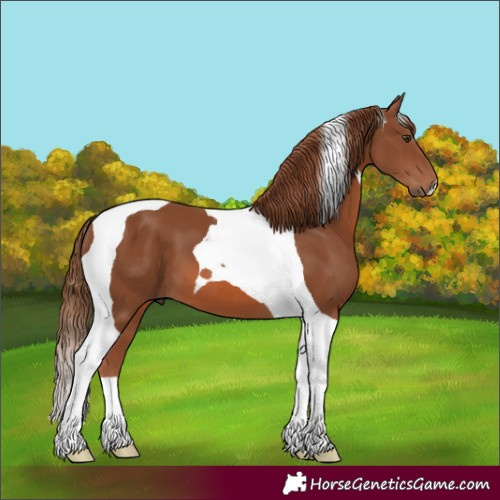 Horse Color:Chestnut Tobiano 