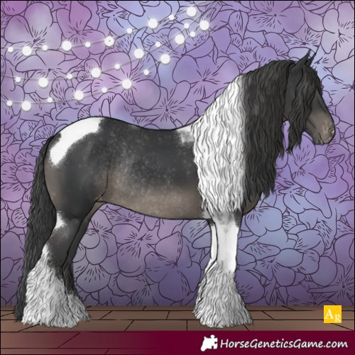 Horse Color:Black Tobiano Appaloosa Rabicano 