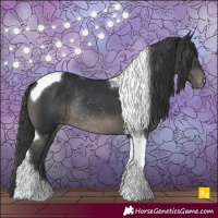 Horse Color:Black Tobiano Varnish Rabicano
