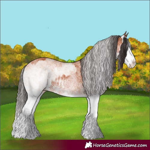 Horse Color:White Spotted Bay Splash  and White Spotted Bay Splash 