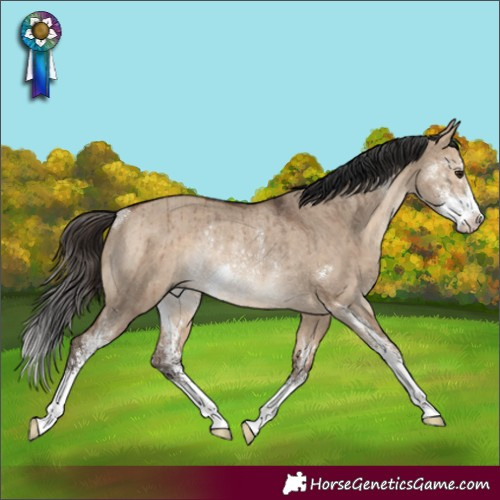 Horse Color:Brown Dun Sabino Rabicano Brindle