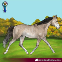 Horse Color:Brown Dun Sabino Rabicano Brindle