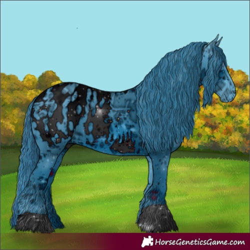 Horse Color:ERROR: UNKNOWN ANOMALY