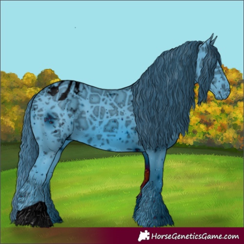 Horse Color:ERROR: UNKNOWN ANOMALY