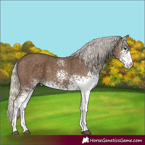 Horse Color:White Spotted Silver Smoky Black 