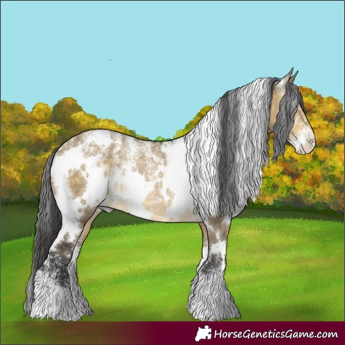 Horse Color:Powder White White Spotted Buckskin Dun Rabicano 
