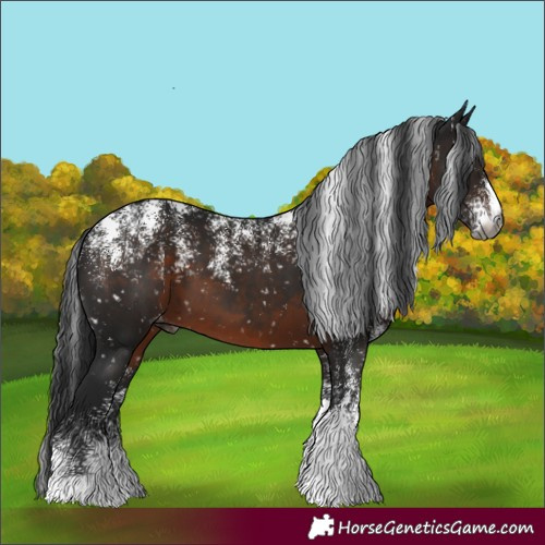 Horse Color:Powder White Gray Brown Appaloosa 