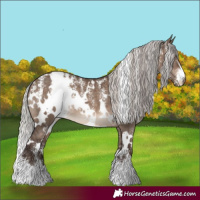 Horse Color:Powder White White Spotted Silver Brown Dun Brindle