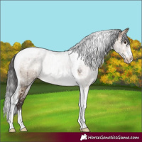 Horse Color:Brown Dun Tobiano Snowflake VarnishBrindle