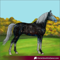 Horse Color:ERROR: UNKNOWN ANOMALY