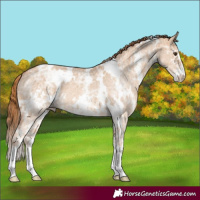 Horse Color:White Spotted Red Dun Ice Sabino