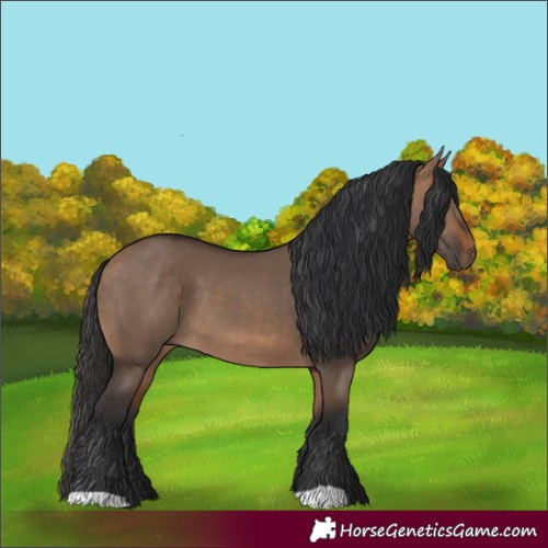 Horse Color:Bay Dun 