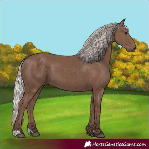 Horse Color:Silver Black 