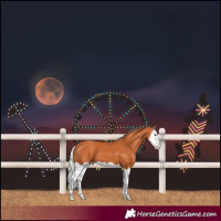 Horse Color:Silver Bay Splash Varnish 