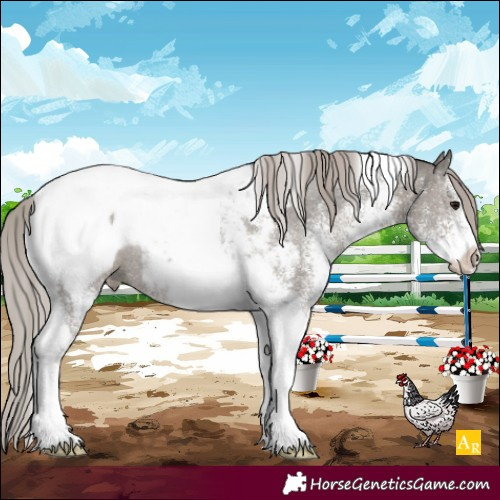 Horse Color:White Spotted Silver Black Tobiano Appaloosa Rabicano