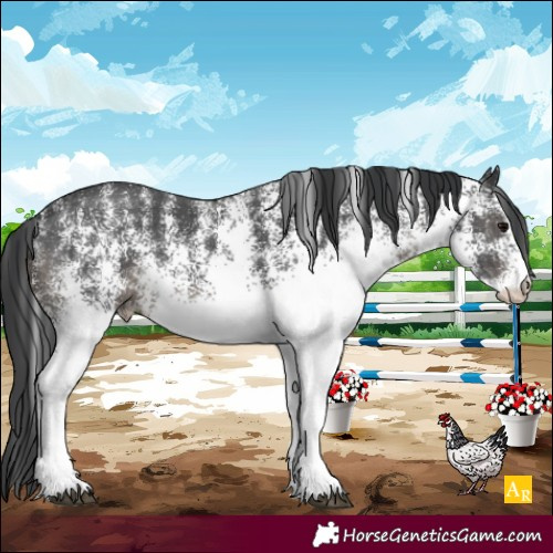 Horse Color:White Spotted Black