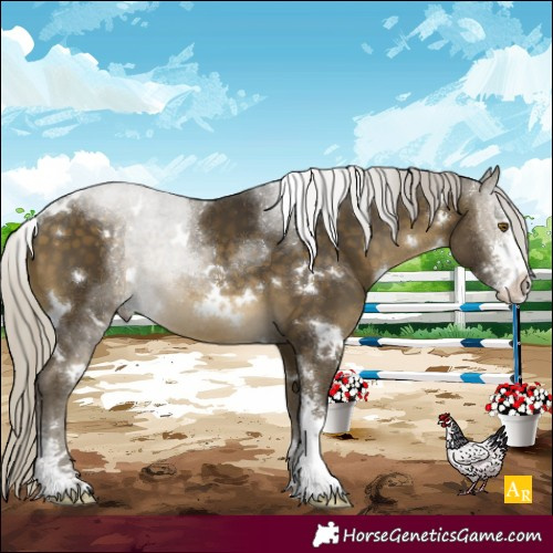 Horse Color:White Spotted Silver Buckskin Sabino Rabicano