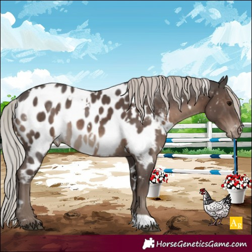 Horse Color:White Spotted Silver Black Appaloosa Rabicano 