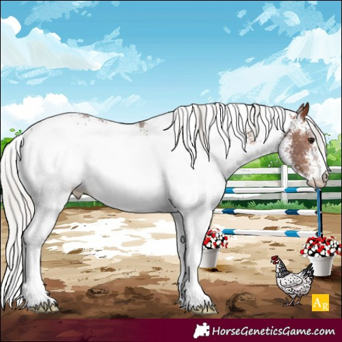 Horse Color:White Spotted Silver Bay Rabicano 