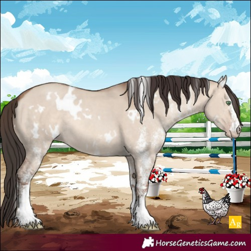Horse Color:White Spotted Sable Champagne Dun Rabicano 
