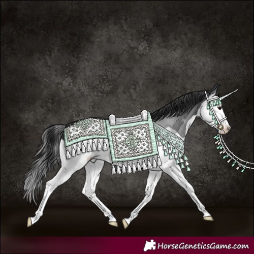 Horse Color:Black Splash