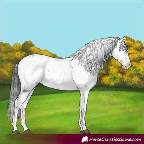 Horse Color:Black Frame 