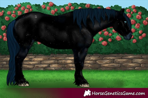 Horse Color:ERROR: UNKNOWN ANOMALY