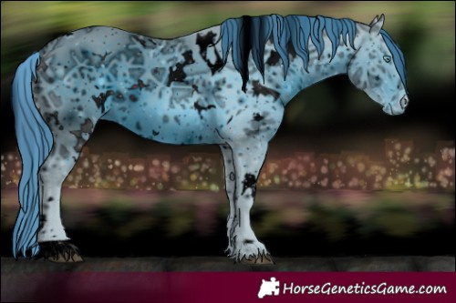 Horse Color:ERROR: UNKNOWN ANOMALY