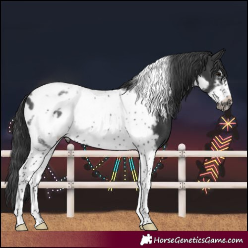 Horse Color:Black Tobiano Frame Blanket Rabicano 