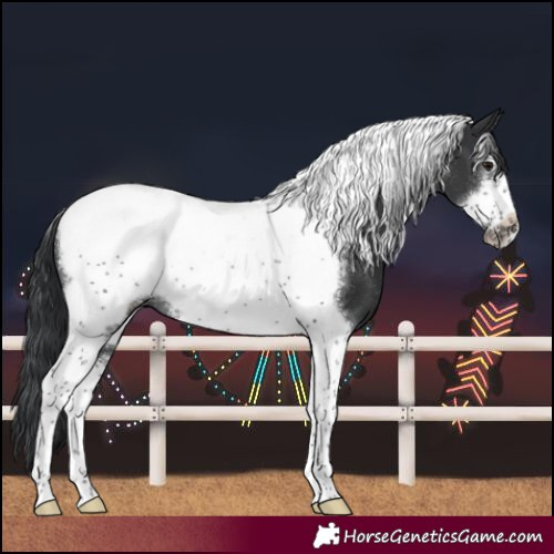 Horse Color:Black Tobiano Frame Rabicano 