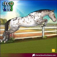 Horse Color:Brown Dun Tobiano Appaloosa