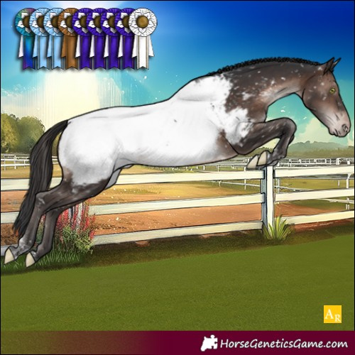 Horse Color:Brown Mushroom Tobiano Appaloosa Rabicano