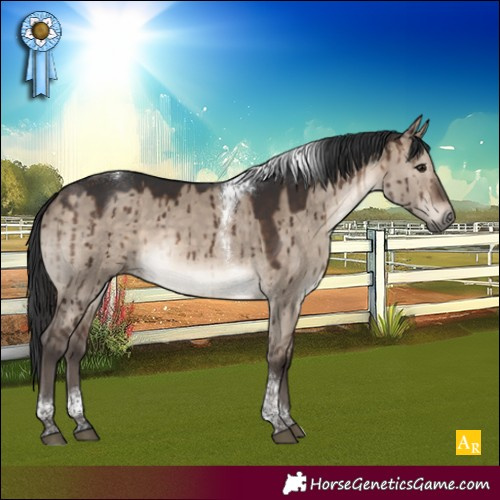 Horse Color:Brown Dun Tobiano Rabicano Brindle 