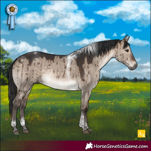 Horse Color:Brown Dun Tobiano Rabicano Brindle 