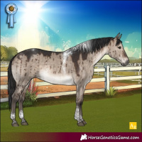 Horse Color:Brown Dun Tobiano Rabicano Brindle 
