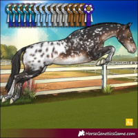 Horse Color:Brown Tobiano Near Leopard Rabicano