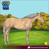 Horse Color:White Spotted Gold Cream Champagne Rabicano