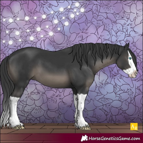 Horse Color:Black Splash