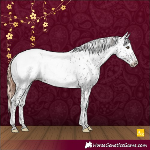 Horse Color:Liver Chestnut Sabino Snowcap Rabicano 