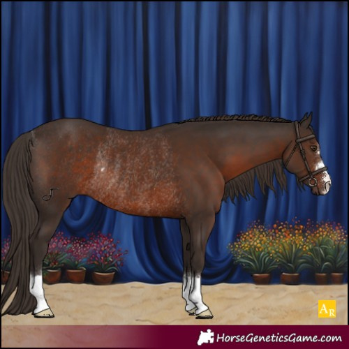Horse Color:Liver Chestnut Rabicano